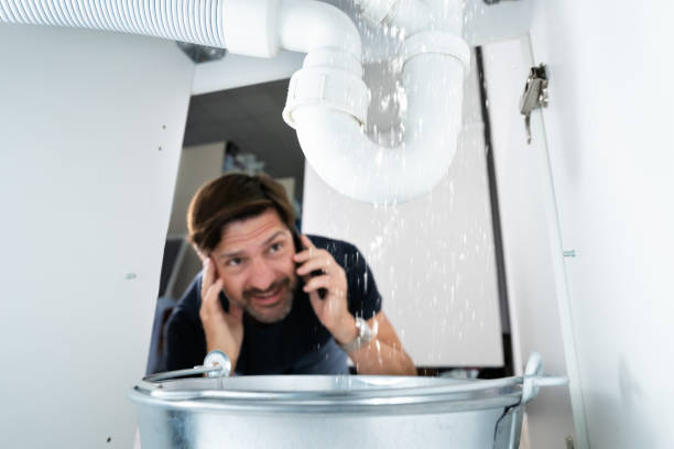 Best Boilers & Radiators  in Carroll, IA