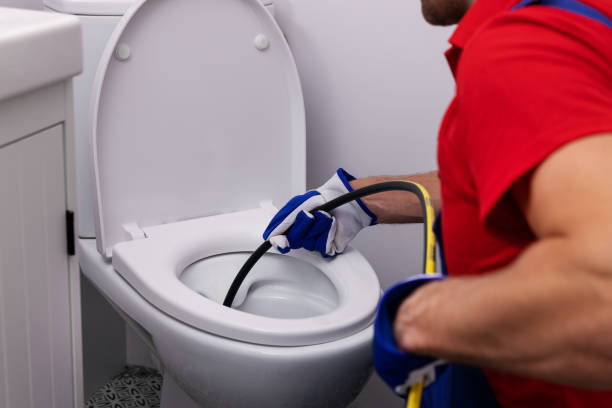 Best Commercial Plumbing Services  in Carroll, IA