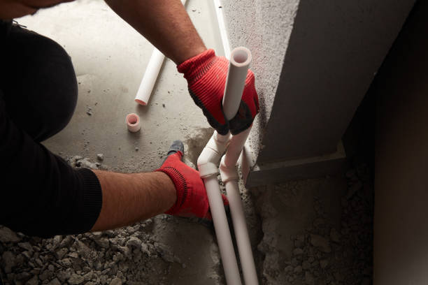 Best Toilet Repair Services  in Carroll, IA