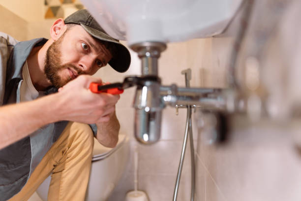 Best Plumbing Inspection Services  in Carroll, IA