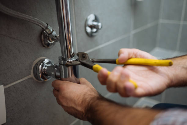 Best Toilet Repair Services  in Carroll, IA