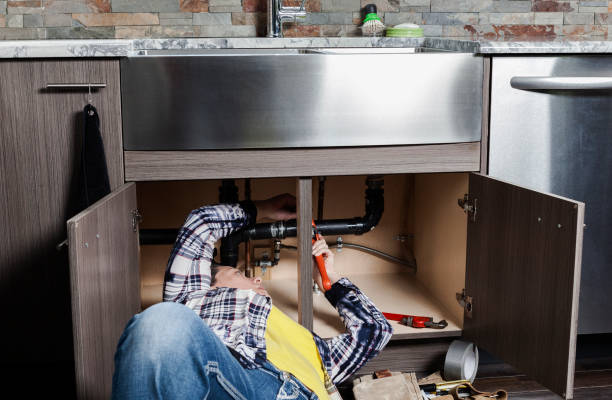 Best Best Plumbers Near Me  in Carroll, IA